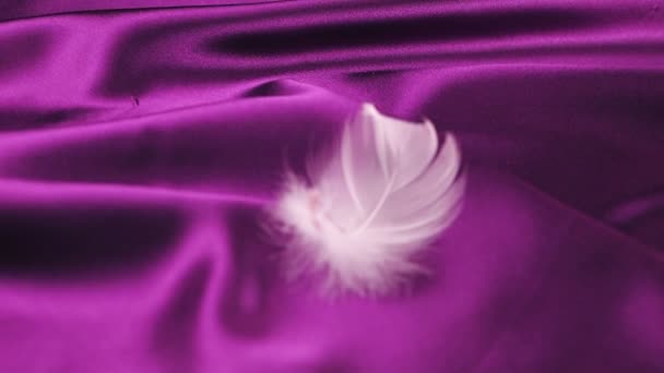 Las Plumas Cisne Blanco Caen Sobre Seda Violeta Movimiento Lento — Vídeo de stock
