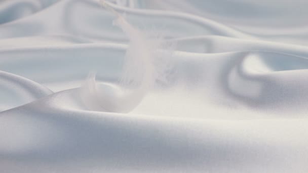 Beyaz Kuğu Tüyleri Soluk Mavi Ipeğe Düşer Yavaş Çekim — Stok video