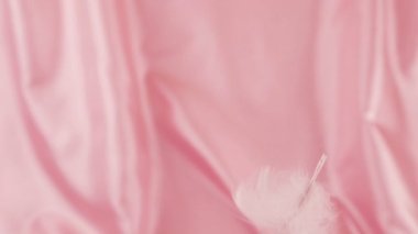 Beyaz kuğu tüyleri ipek renkli pembe arka plana düşer. Yavaş çekim.