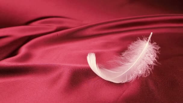 White Swan Feathers Fall Red Silk Slow Motion — Stock Video