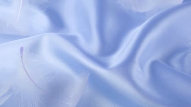 Penas Cisne Branco Seda Azul Royal Pastel — Vídeo de Stock
