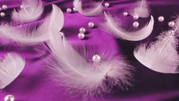 紫色梅丝上的白天鹅羽毛 上有珍珠 — 图库视频影像