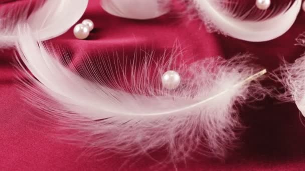 Plumas Cisne Blanco Sobre Seda Roja Con Perlas — Vídeos de Stock