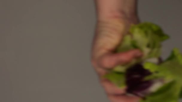 レタスの葉は調理人の手からガラス表面に落ちる — ストック動画
