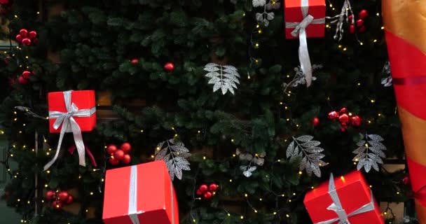 Street Christmas Winterdekoration Inschrift Wir Wünschen Ihnen Frohe Weihnachten — Stockvideo