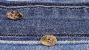 Natural mother of pearl buttons fall on denim. Slow motion.