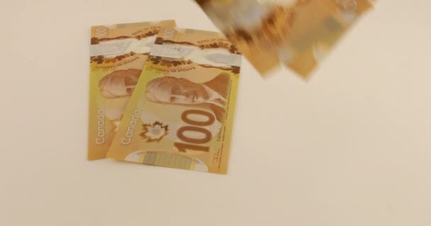 Falling Canadian 100 Dollar Polymer Banknotes Portrait Robert Borden — Stock Video