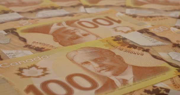 Canadian 100 Dollar Polymer Banknotes Portrait Robert Borden — стоковое видео