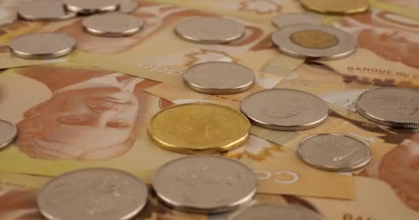 Canadian Coins 100 Dollar Polymer Banknotes Portrait Robert Borden — Video Stock