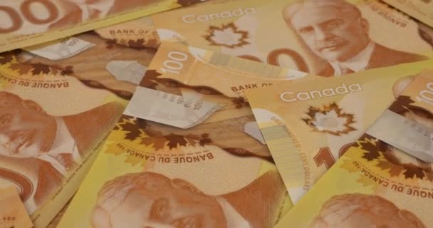 Canadian 100 Dollar Polymer Banknotes Portrait Robert Borden — Vídeo de stock