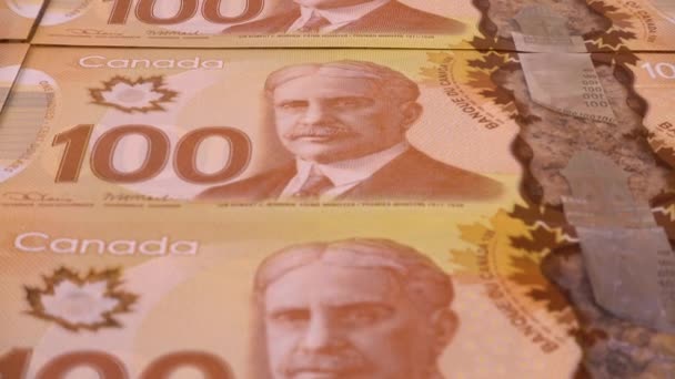 Canadian 100 Dollar Polymer Banknotes Portrait Robert Borden — Stock Video