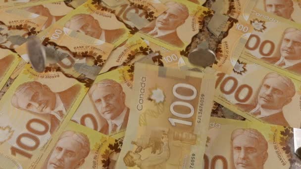 Falling Canadian Coins Banknotes 100 Dollar Polymer Banknotes Portrait Robert — Vídeo de stock