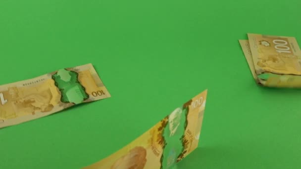 Falling Canadian 100 Dollar Polymer Banknotes Portrait Robert Borden Green — Vídeo de stock