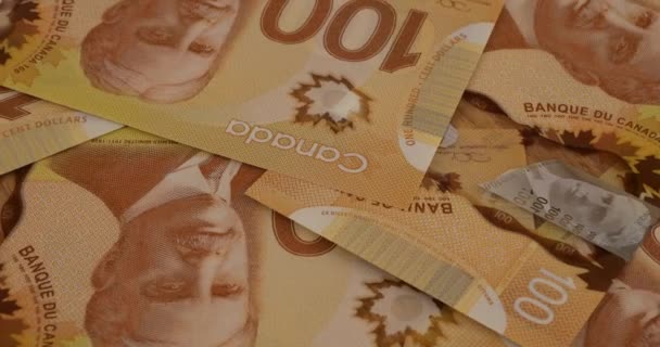 Canadian 100 Dollar Polymer Banknotes Portrait Robert Borden — Vídeo de stock