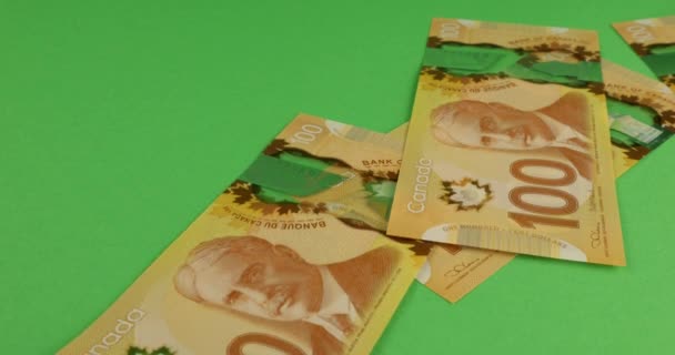 Falling Canadian 100 Dollar Polymer Banknotes Portrait Robert Borden Green — Stock video
