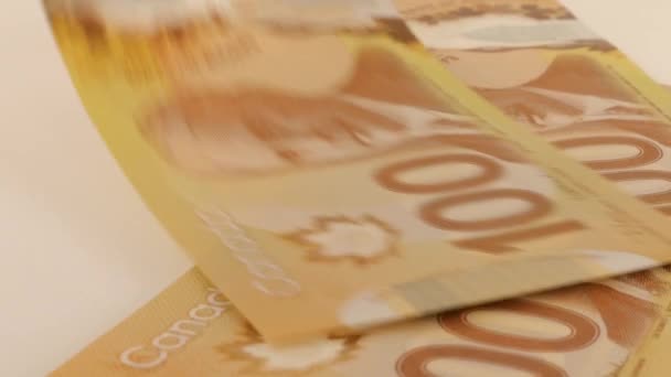 Falling Canadian 100 Dollar Polymer Banknotes Portrait Robert Borden — Stok Video