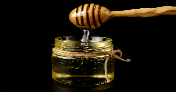 Honey Flows Spoon Spindle Jar Honey Black Background — Wideo stockowe