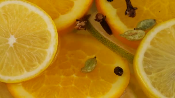 Kaneelstokje Kardemom Anijs Steranijs Kruidnagel Vallen Citruslimonade Sinaasappel Limoen Citroenschijfjes — Stockvideo