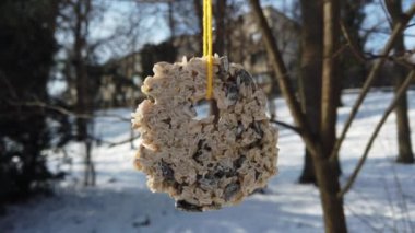 Homemade handmade feeder from a mixture of grains for birds. Shooting in the winter in the park.