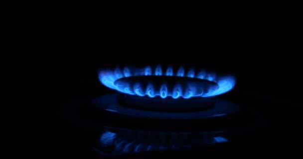 煤气在厨房火炉的燃烧器里燃烧 — 图库视频影像