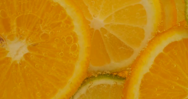 Ripe Citrus Lemonade Orange Lemon Lime Slices Air Bubbles — Video Stock