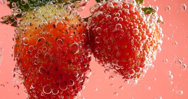 Ώριμες Φράουλες Φυσαλίδες Αέρα Ροζ Φόντο — Αρχείο Βίντεο