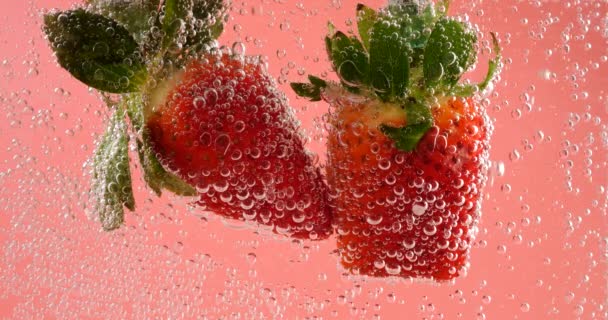 Ripe Strawberries Air Bubbles Pink Background — Stock Video