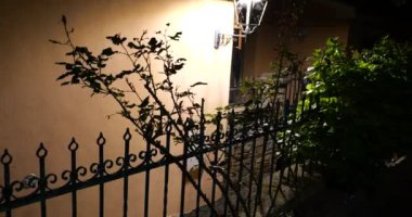 Bahçedeki gül çalılarının siluetleri ve evin parlak bir sokak lambası eski Avrupa şehrinin sokaklarını gece aydınlatıyor.