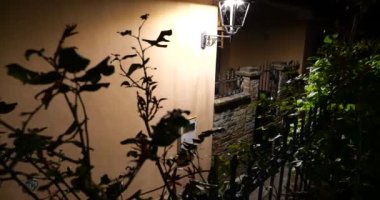 Bahçedeki gül çalılarının siluetleri ve evin parlak bir sokak lambası eski Avrupa şehrinin sokaklarını gece aydınlatıyor.