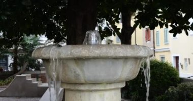Eski bir Akdeniz kasabasında küçük bir park: Magnolia ihtişamının altında bir taş çeşme ve çiçek açan salkım dalları panjurlu bir evin duvarına tırmanıyor.