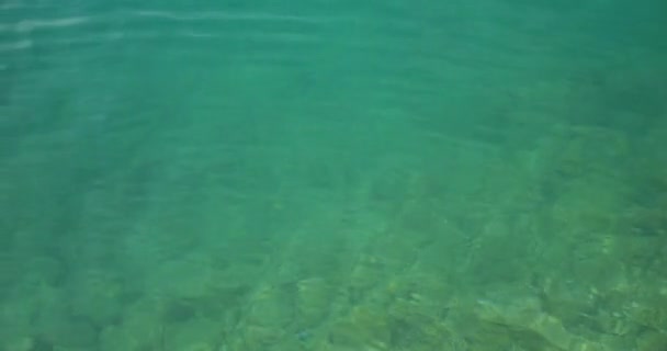 Lugnt Vatten Adriatiska Havet Med Klart Vatten Och Stenig Botten — Stockvideo