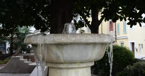 一座位于一个古老的地中海小镇上的小公园 马格诺利亚宏伟植物下的一个石泉和盛开的紫藤枝条爬上了有百叶窗的房子的墙壁 — 图库视频影像