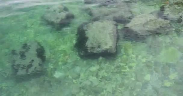 Bovenaanzicht Rotsachtige Bodem Van Adriatische Zee Door Kristalhelder Water — Stockvideo