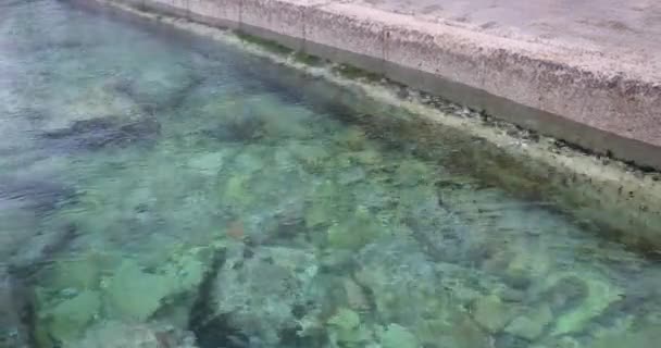 Kristallklares Wasser Der Adria Der Nähe Der Promenade Von Piran — Stockvideo