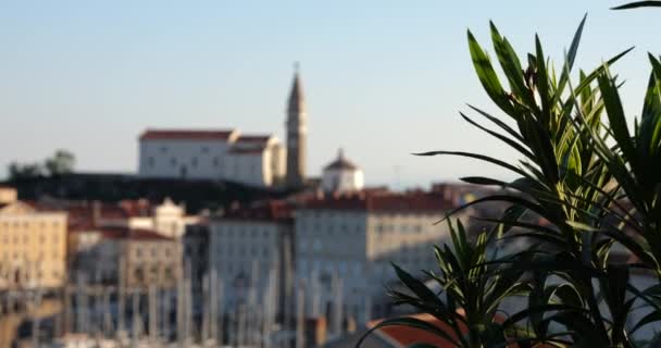 俯瞰早上的皮兰 钟楼和有船的港口 斯洛文尼亚 — 图库视频影像
