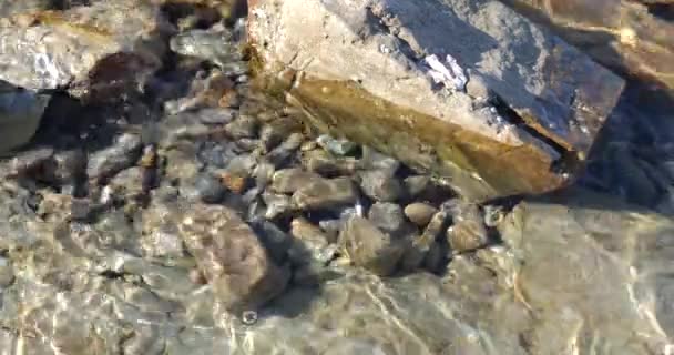 Crystal Clear Water Adriatic Sea Coast Stones Underwater — Stock Video