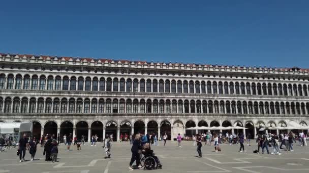 Les Touristes Marchent Sur Piazza San Marco Venise Italie Arrière — Video