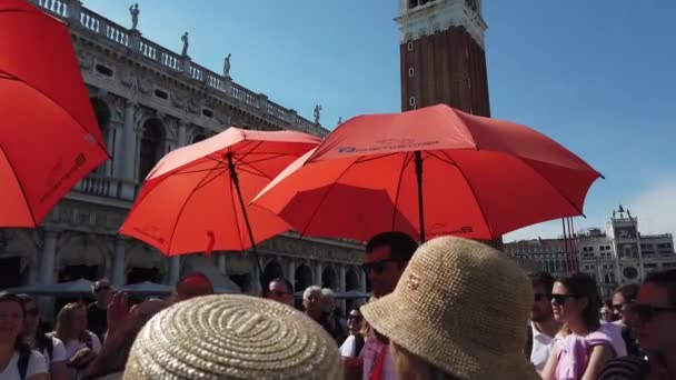 Venice Lines Reiseleiter Informieren Unter Orangefarbenen Regenschirmen Eine Gruppe Von — Stockvideo