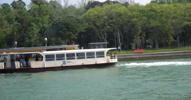 意大利威尼斯 从船上看到圣埃伦娜岛的海岸 有一个公园 威尼斯泻湖和一个载客汽船 — 图库视频影像