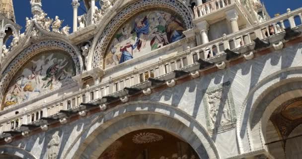 Vue Panoramique Piazza San Marco Basilique San Marco Tour Horloge — Video