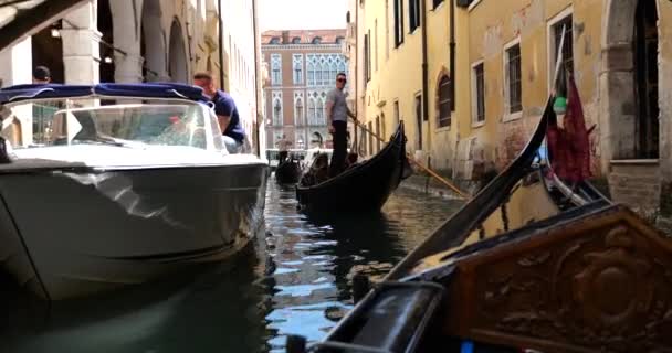 意大利威尼斯 一座载有游客的贡多拉浮在众多运河大桥中的一座下面 — 图库视频影像