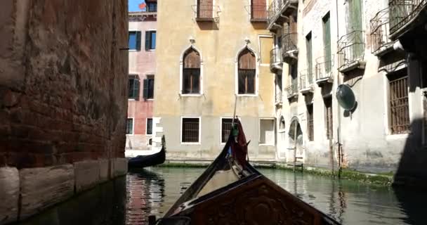 Widok Przodu Gondoli Kanałów Wenecji Architektury Miasta Gondoli Jadących Nim — Wideo stockowe