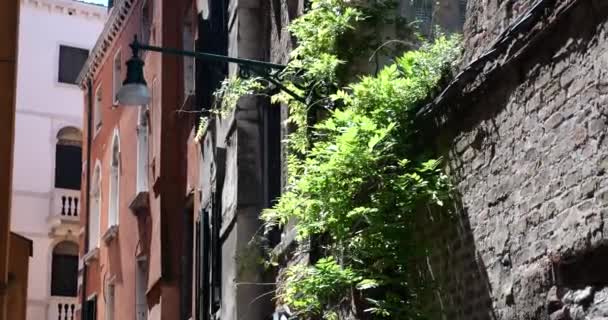 Úzká Ulice Benátkách Itálie Zdi Domů Pouliční Lampy Balustrovaná Okna — Stock video