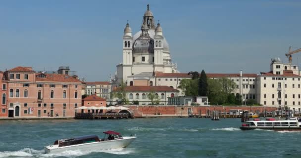 Visa Katolska Kyrkan Santa Maria Della Salute Och Båtar Navigera — Stockvideo