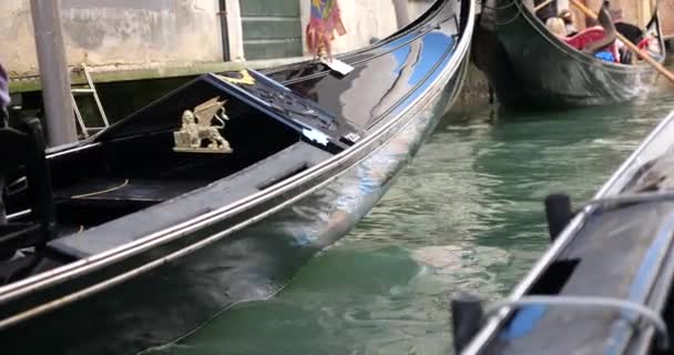 Гондолас Туристами Подорожують Каналах Венеції Італія — стокове відео