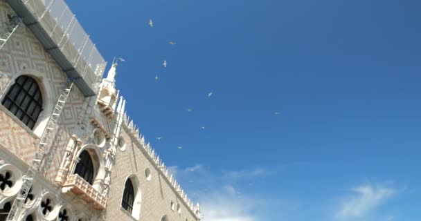 Stado Białych Mew Wznosi Się Przez Błękitne Niebo Nad Pałacem — Wideo stockowe