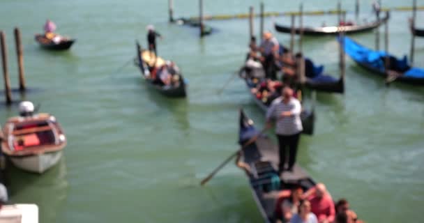 Los Gondoleros Montan Turistas Góndolas Largo Laguna Veneciana Los Canales — Vídeo de stock