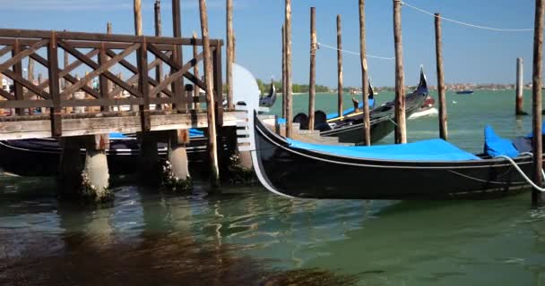 Gondola Moored Palines Ferry Pier Waterfront Riva Degli Schiavoni Venice — Stock Video