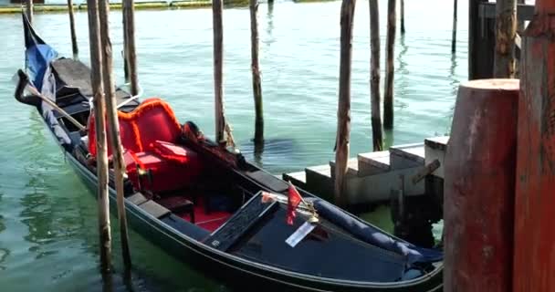 ゴンドラは イタリアのヴェネツィアのRiva Degli Shiavoniのウォーターフロント近くのフェリー桟橋でヤシの木で係留されました — ストック動画