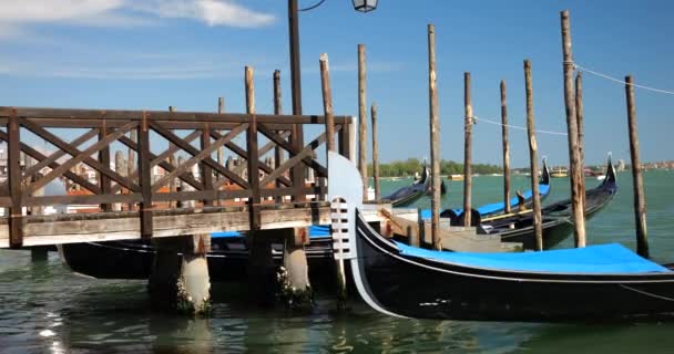 意大利威尼斯Riva Degli Schiavoni海滨码头附近的渡口 贡多拉停泊着棕榈树 — 图库视频影像